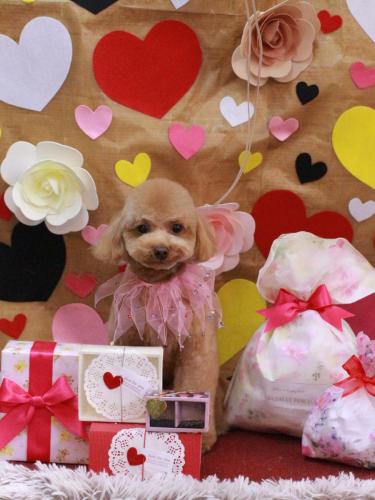 20230208ララちゃん